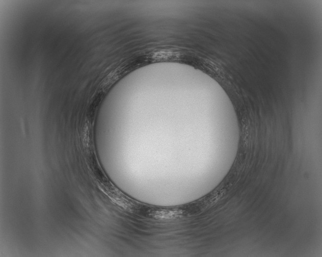 X0000054430375200507290958