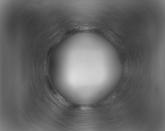 X0000054430376200507290958