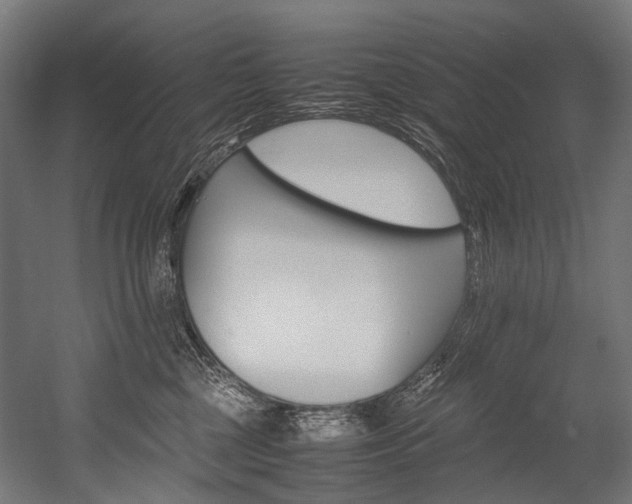 X0000054430377200507290958
