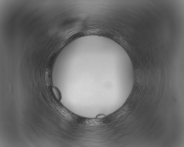 X0000054430378200507290958