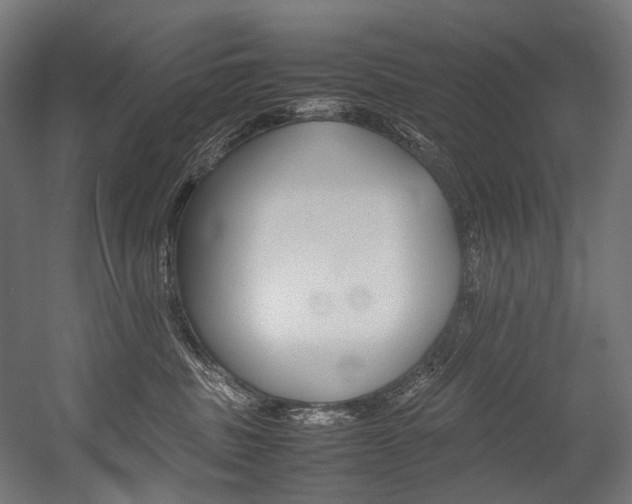 X0000054430379200507290958