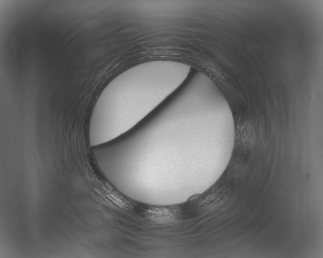 X0000054430381200507290958