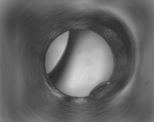 X0000054430383200507290958