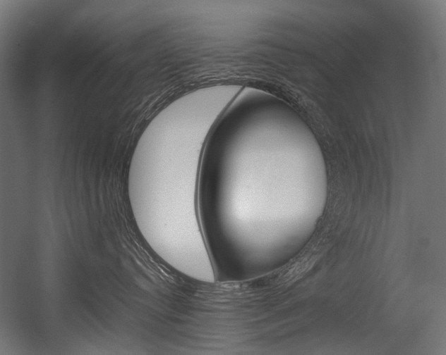X0000054430384200507290958