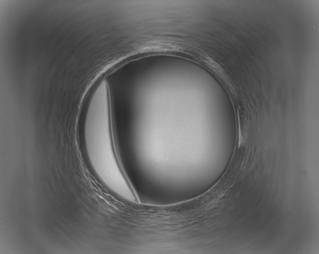X0000054430387200507290957