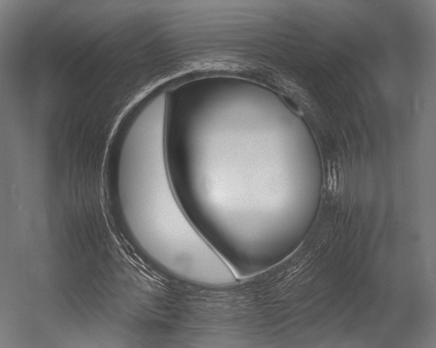 X0000054430388200507290957