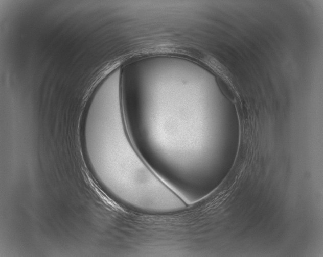 X0000054430389200507290957