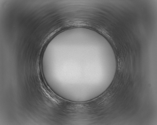 X0000054430390200507290957