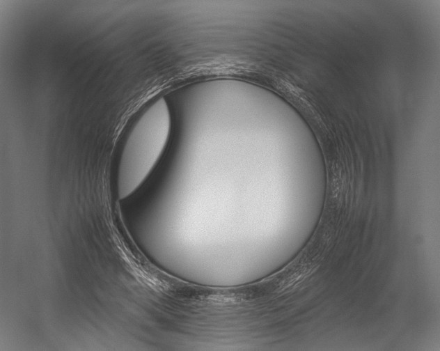 X0000054430394200507290957
