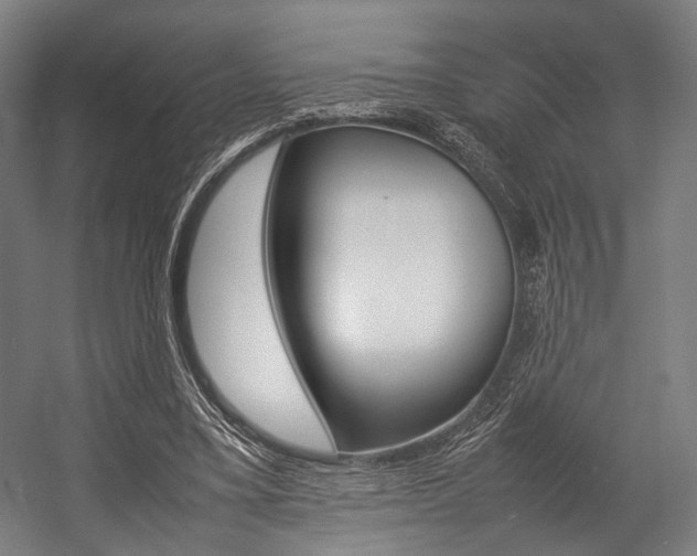 X0000054430395200507290957