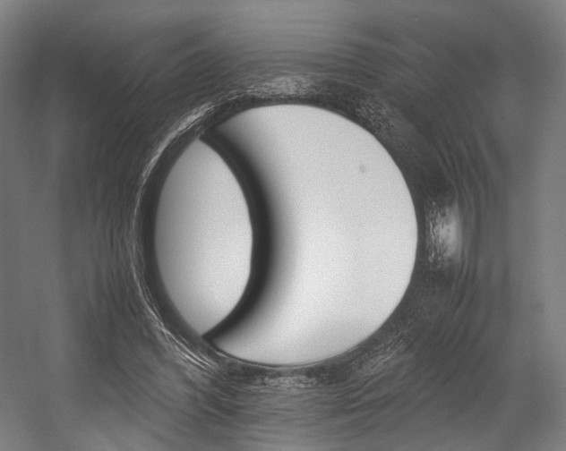 X0000054430396200507290957