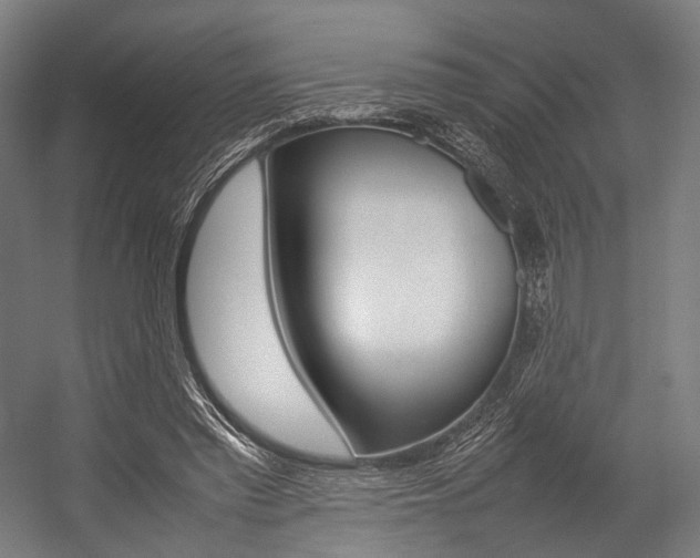 X0000054430397200507290957