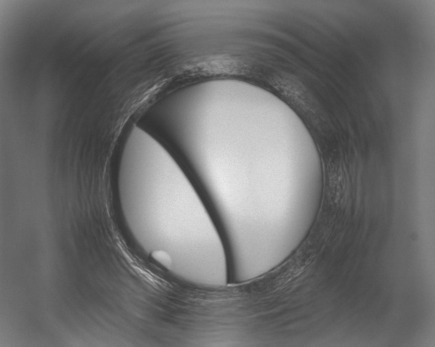 X0000054430398200507290957