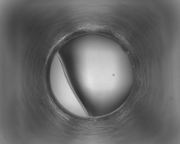 X0000054430399200507290957