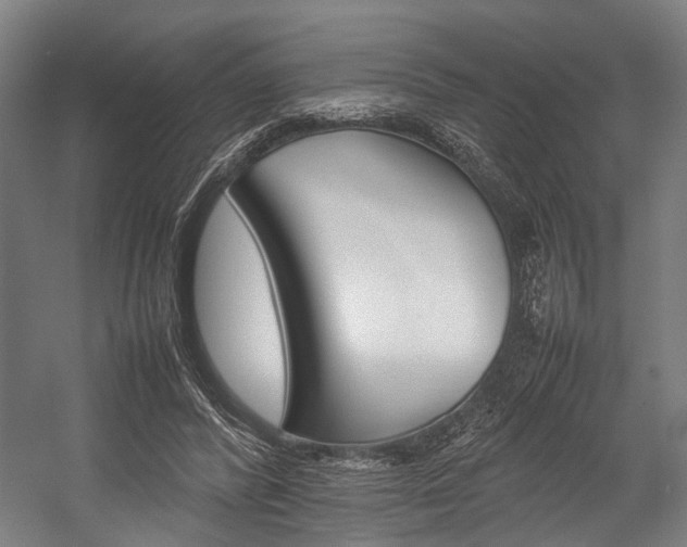 X0000054430400200507290957