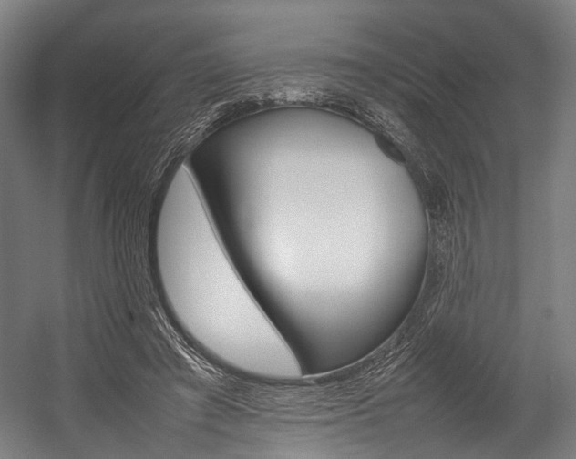 X0000054430401200507290957