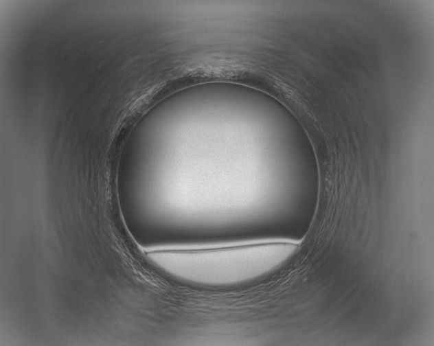 X0000054430403200507290957