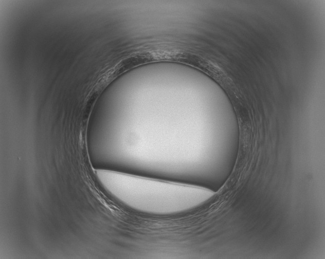 X0000054430405200507290957