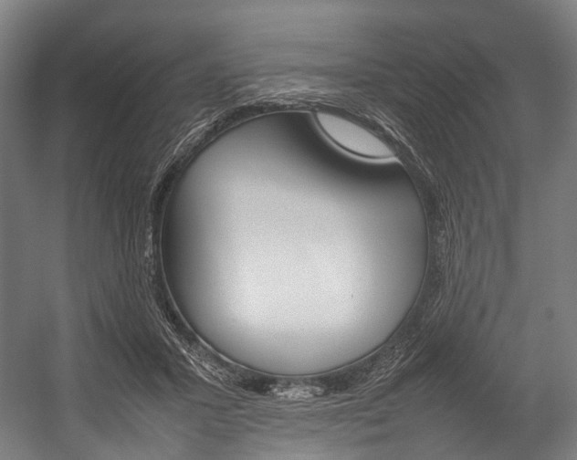 X0000054430407200507290957