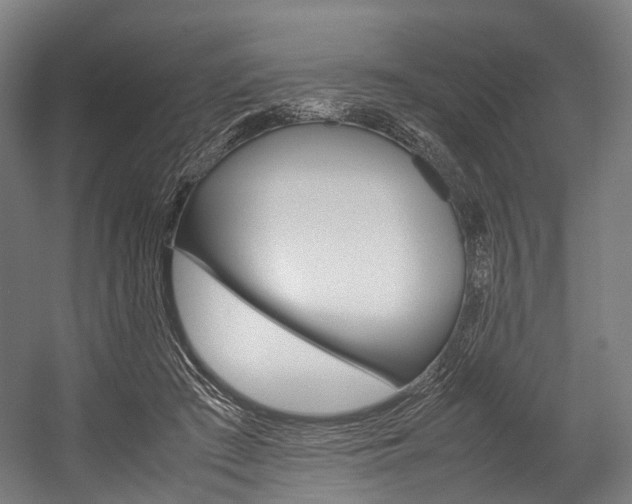 X0000054430409200507290957