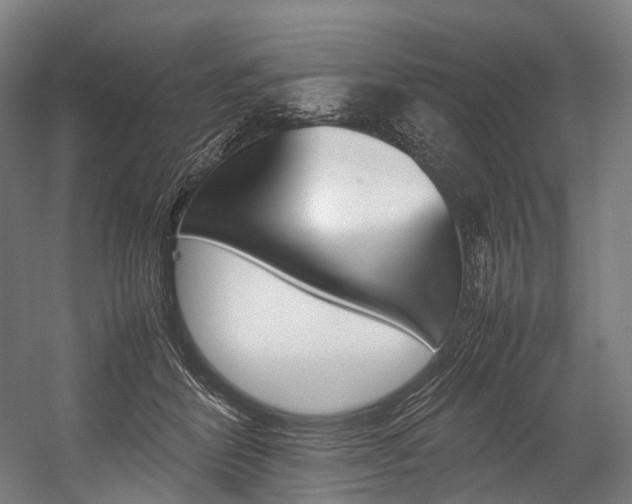 X0000054430412200507290957