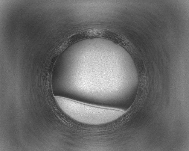 X0000054430413200507290957