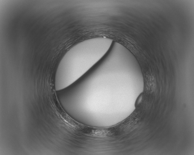 X0000054430414200507290957