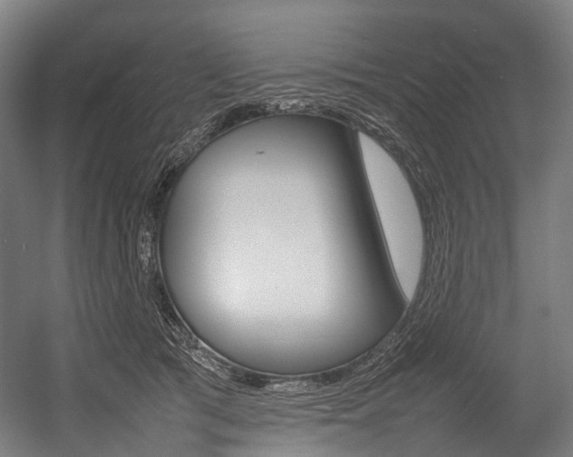 X0000054430417200507290957