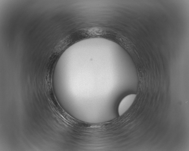 X0000054430418200507290957