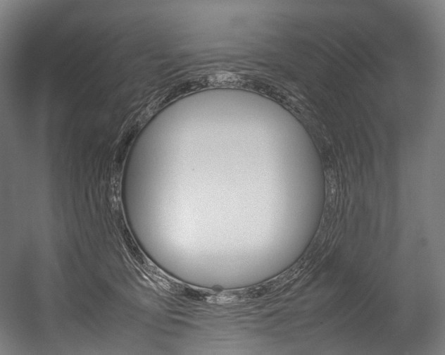 X0000054430419200507290957