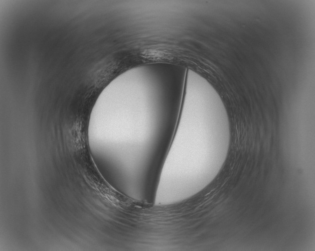 X0000054430420200507290957
