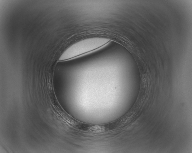 X0000054430421200507290957