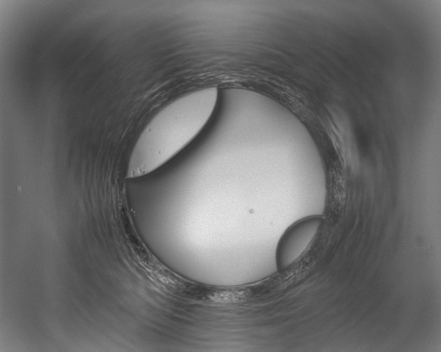 X0000054430422200507290957