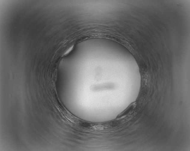 X0000054430423200507290957