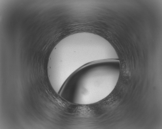 X0000054430424200507290957