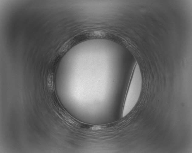 X0000054430425200507290957