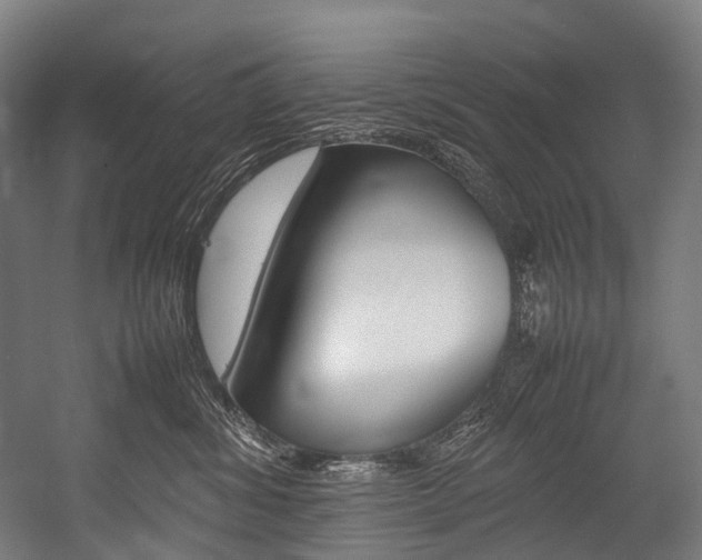X0000054430428200507290957