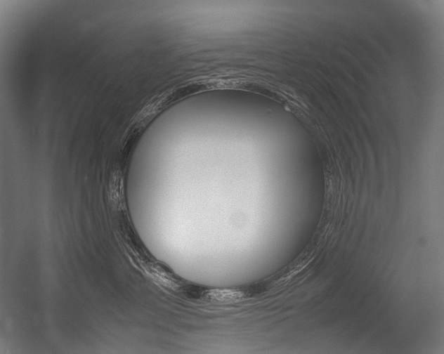 X0000054430429200507290957