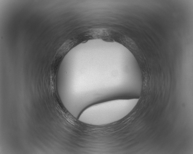 X0000054430430200507290957