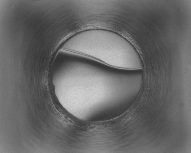 X0000054430434200507290956