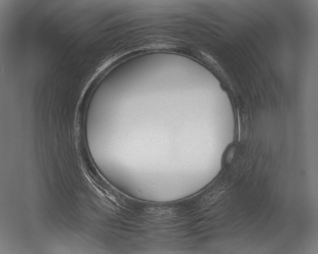 X0000054430435200507290956