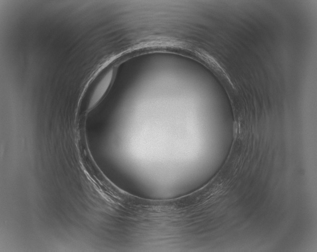X0000054430436200507290956