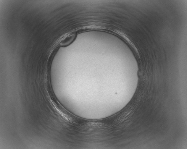 X0000054430437200507290956