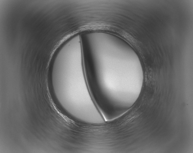 X0000054430438200507290956