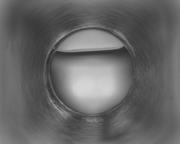 X0000054430439200507290956