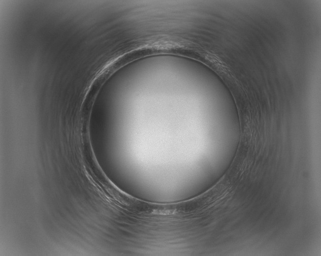 X0000054430440200507290956