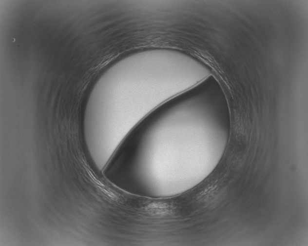 X0000054430441200507290956