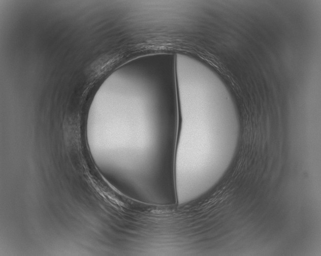 X0000054430442200507290956