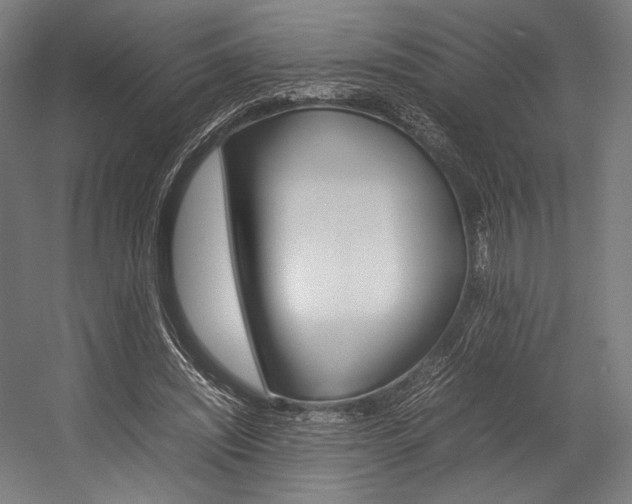 X0000054430444200507290956