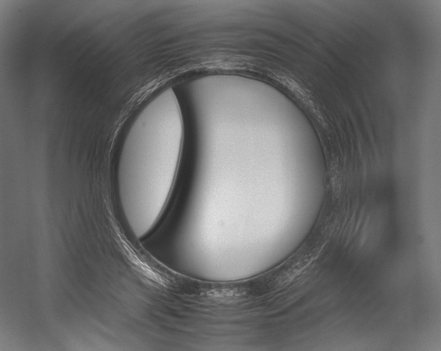 X0000054430445200507290956